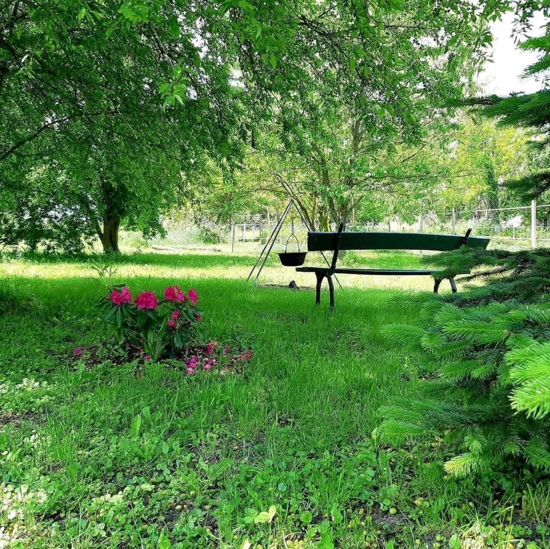 Axtburg Apartments Berbaltavar Bagian luar foto
