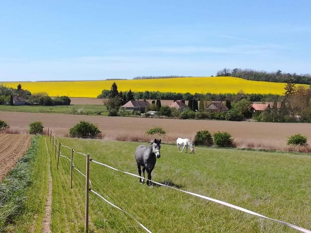 Axtburg Apartments Berbaltavar Bagian luar foto