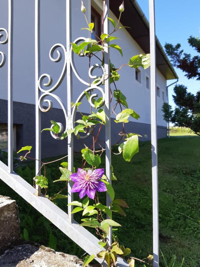 Axtburg Apartments Berbaltavar Bagian luar foto