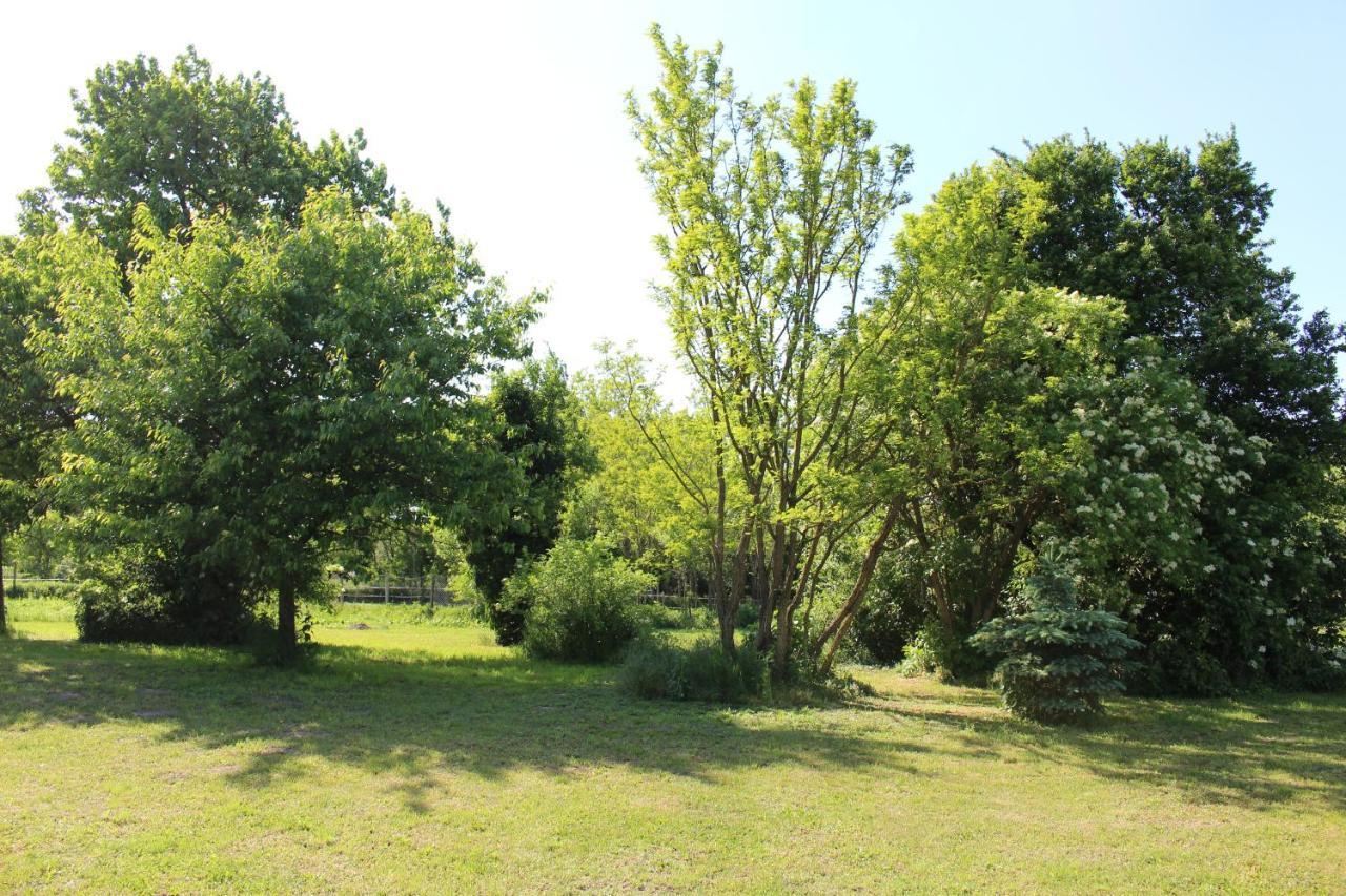 Axtburg Apartments Berbaltavar Bagian luar foto